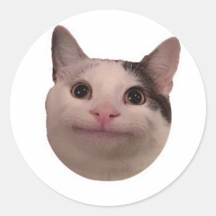 grappige kat meme ronde sticker