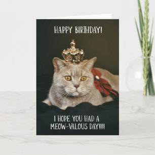 Grappige kat met Crown Birthday Wenskaart Kaart