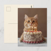 Grappige kat met verjaardagstaart briefkaart (Voorkant / Achterkant)