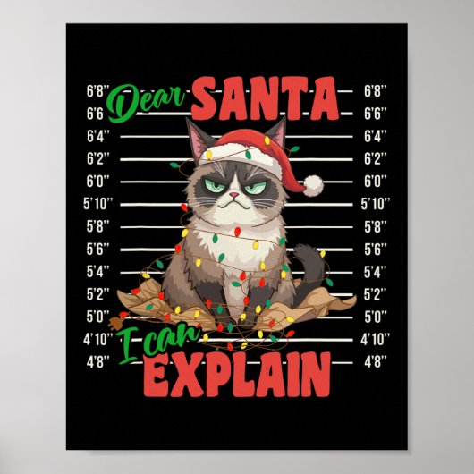 Grappige kat Mugshot Beste Kerstman Ik kan Kerstmi Poster (Voorkant)
