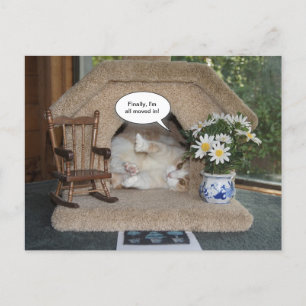 Grappige kat Nieuw adres verplaatst Aankondigingskaart