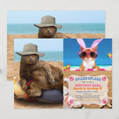 Grappige kat op vakantie kaart (Voorkant / Achterkant)