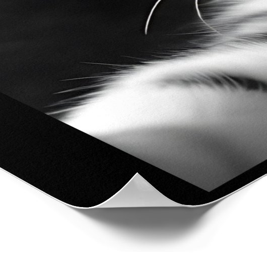 Grappige Kat Selfie met UFO Alien Poster (Hoek)