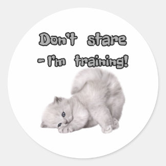 Grappige kat sticker