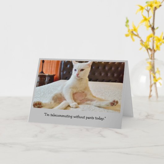 Grappige kat telewerken zonder broek kaart (Gele Bloem)