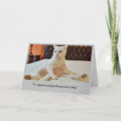 Grappige kat telewerken zonder broek kaart (Voorkant)