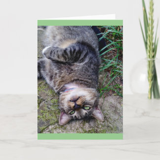 Grappige kat TENS unit Kaart