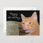 Grappige kat Verjaardag Briefkaart (Voorkant / Achterkant)