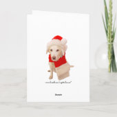 Grappige kat ziet de kerstman feestdagen kaart (Achterkant)