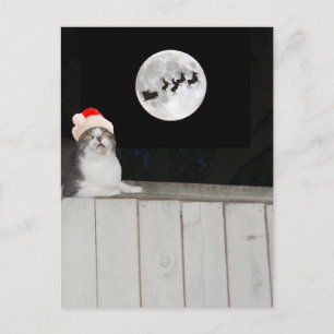 Grappige kat ziet de kerstman feestdagenkaart