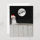 Grappige kat ziet de kerstman feestdagenkaart (Voorkant / Achterkant)