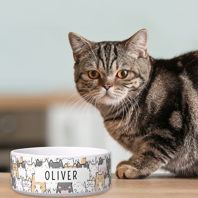Grappige katten Aangepaste naam Voerbakje (Easily customize this cute pet bowl with your furry loved one's name.)