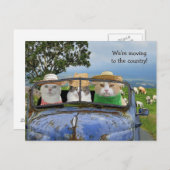 Grappige katten die Briefkaart verplaatsen (Voorkant / Achterkant)