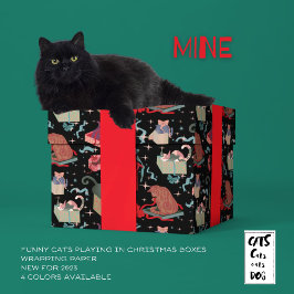 Grappige katten in kerstdozen zwart rood groen cadeaupapier