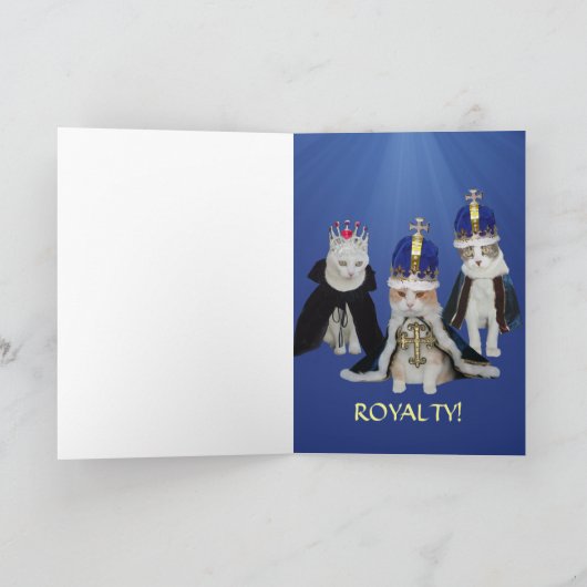 Grappige katten kaart (Binnen)