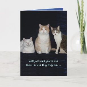 Grappige  katten kaart