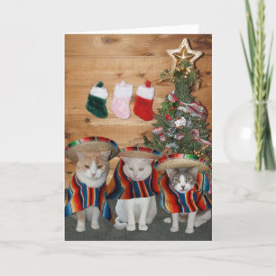 Grappige katten/Katten Feliz Navidad Feestdagen Kaart