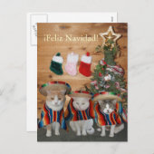 Grappige Katten/Katten Feliz Navidad Feestdagenkaart (Voorkant / Achterkant)