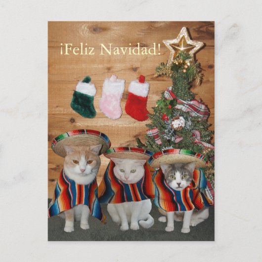 Grappige Katten/Katten Feliz Navidad Feestdagenkaart (Voorkant)