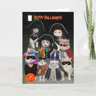 Grappige katten op Halloween Kaart
