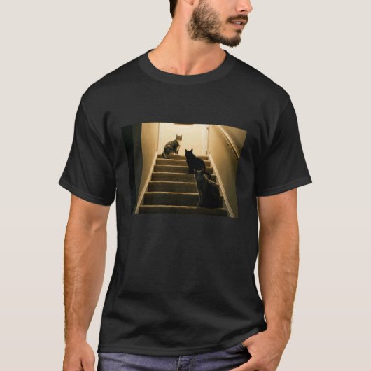 Grappige Katten Trap Scene Lange Mouwen T-shirt (Voorkant)