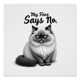 Grappige kattengezicht illustratie – Minimaal knap Perfect Poster