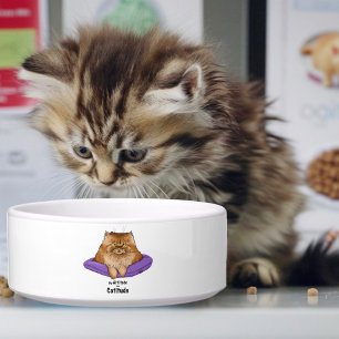 Grappige kattenhouding voerbakje
