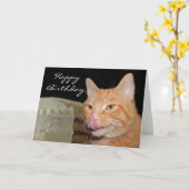 Grappige kattenVerjaardag Kaart (Gele Bloem)