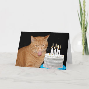 Grappige kattenverjaardag kaart