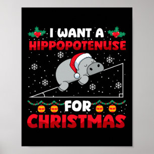 Grappige Kerst Wiskunde Docent Hippopotenuse Wisku Poster