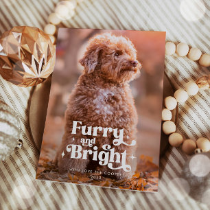 Grappige Kerstfoto met Harige en Heldere Hond Feestdagenkaart