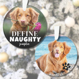 Grappige Kersthondhuisdier Ornament