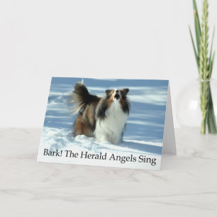 Grappige Kerstkaart Sheltie Feestdagen Kaart