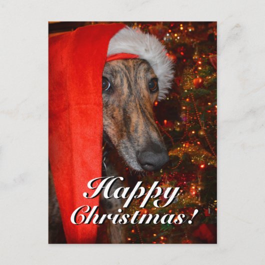 Grappige Kerstman Greyhound Lurcher Feestdagenkaart (Voorkant)