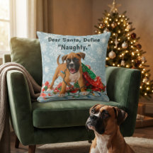 Grappige Kerstmis Boxer Hond