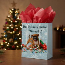 Grappige Kerstmis Boxer Hond 