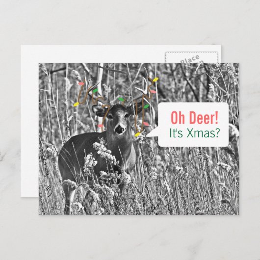 Grappige Kerstmis - Herten met de Lichten van Feestdagenkaart (Voorkant / Achterkant)