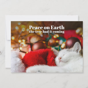 Grappige Kerstmis Slapende Kat Vrede op Aarde  Feestdagenkaart