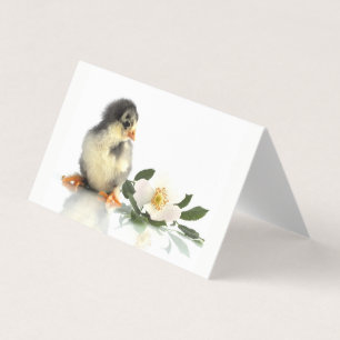 grappige kip ・ Gevouwen Visitekaartjes