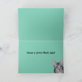 Grappige kitten verjaardag kaart (Binnen)