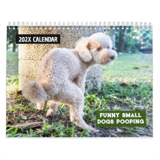 Grappige kleine honden poepen 2025 kalender