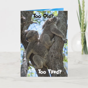 Grappige Koala Strand Verjaardagskaart - Laten we Feestdagen Kaart