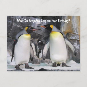 Grappige Koningspinguïn Verjaardagsansichtkaart Briefkaart