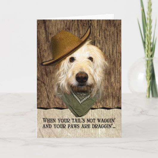 Grappige Labradoodle in Cowboy Pet Bandana Get Wel Kaart (Voorkant)