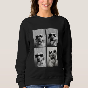 Grappige Labradorhonden met Zonnebril Cool Dieren Trui