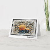 Grappige Late Verjaardag Kaart met Slak (Voorkant)