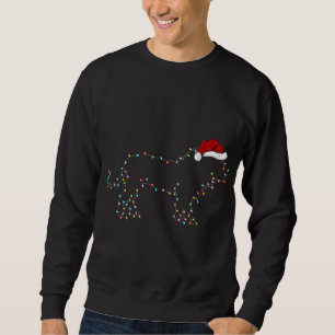 Grappige Leeuw Xmas Verlichting Santa Hoed Leeuw K Trui