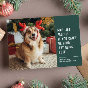 Grappige leuke huisdier foto Kerstvakantie kaart