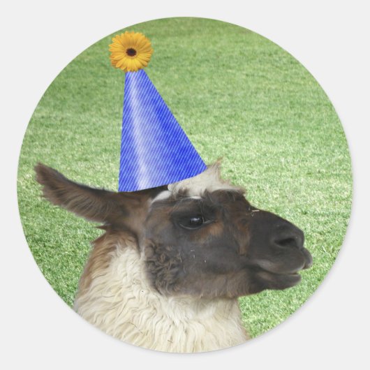 Grappige Llama in Party Pet stickers (Voorkant)