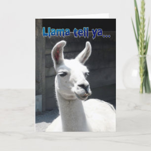 Grappige Llama Verjaardagskaart Kaart